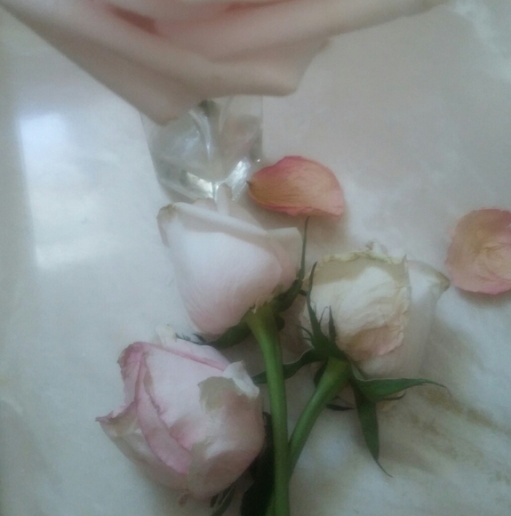 Meet your Posher, Liz - Picture 1 of 5